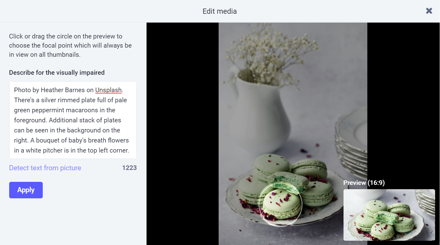 Окно редактирования медиа-вложения Vivaldi Social с примером описания и изображения.