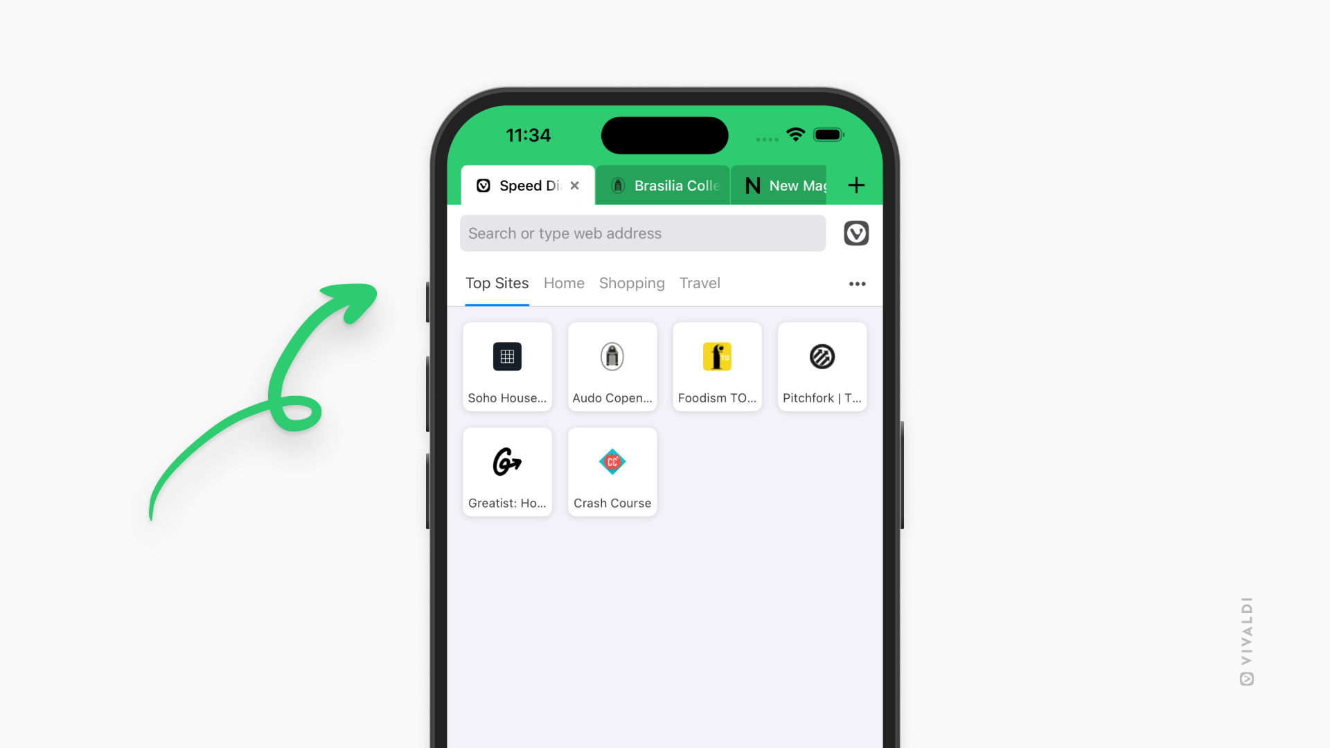 Start Page in Vivaldi on iOS open on Top Sites.